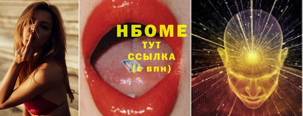шишки Заводоуковск