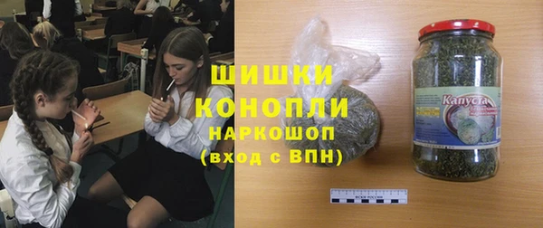 шишки Заводоуковск
