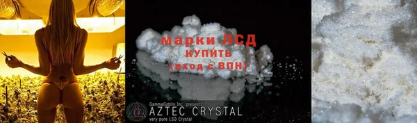 стаф Снежинск