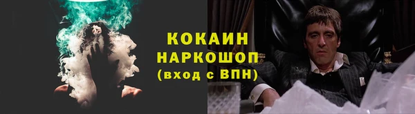 шишки Заводоуковск