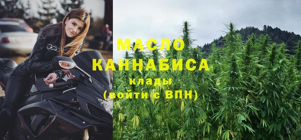 шишки Заводоуковск