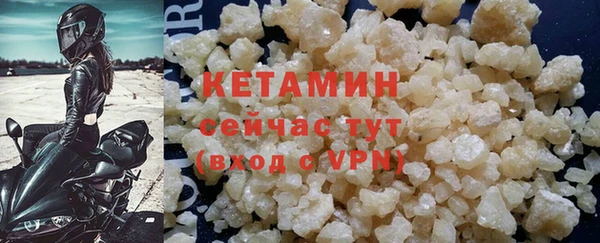 шишки Заводоуковск