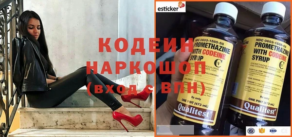 шишки Заводоуковск
