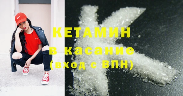 шишки Заводоуковск