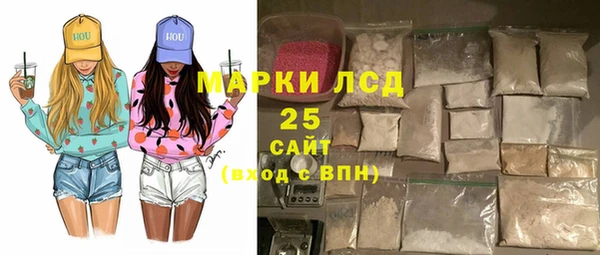 шишки Заводоуковск