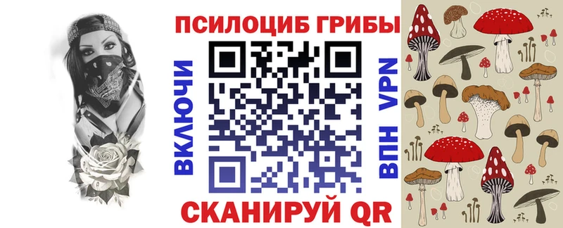 Купить  Кирово-Чепецк  Галлюциногенные грибы мицелий 